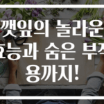 깻잎의 놀라운 효능과 숨은 부작용까지!