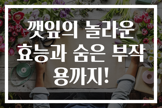 깻잎의 놀라운 효능과 숨은 부작용까지!