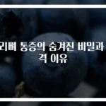 꼬리뼈 통증의 숨겨진 비밀과 충격 이유