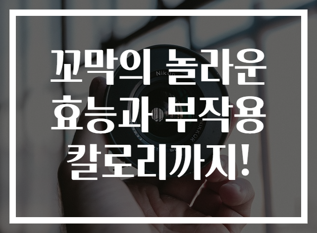 꼬막의 놀라운 효능과 부작용 칼로리까지!