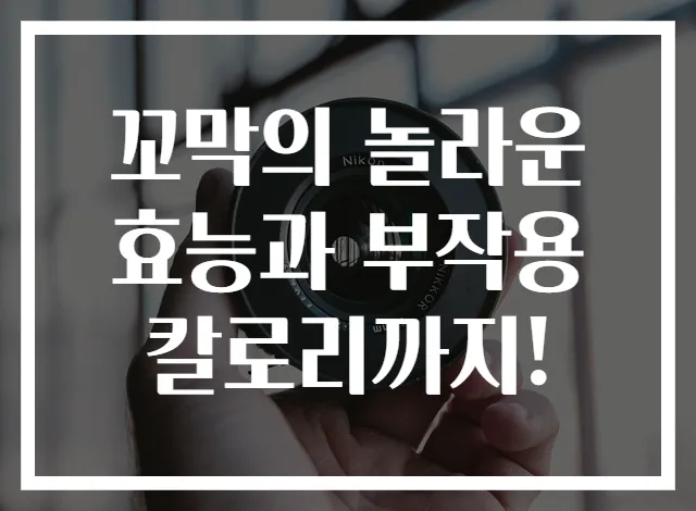 꼬막의 놀라운 효능과 부작용 칼로리까지!