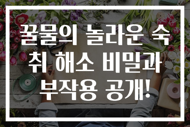 꿀물의 놀라운 숙취 해소 비밀과 부작용 공개!