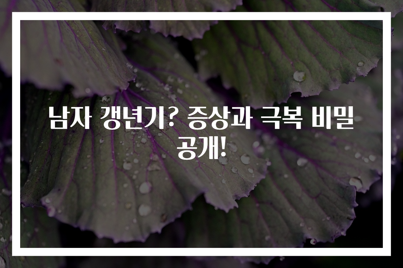 남자 갱년기? 증상과 극복 비밀 공개!