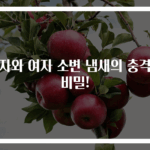 남자와 여자 소변 냄새의 충격적 비밀!