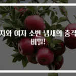 남자와 여자 소변 냄새의 충격적 비밀!