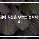 낮잠이 두통을 부르는 충격적 이유!