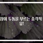 낮잠이 두통을 부르는 충격적 이유!