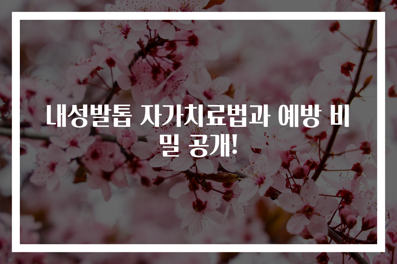 내성발톱 자가치료법과 예방 비밀 공개!