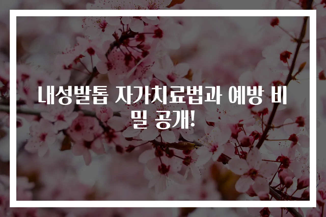 내성발톱 자가치료법과 예방 비밀 공개!