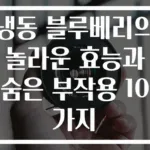 냉동 블루베리의 놀라운 효능과 숨은 부작용 10가지