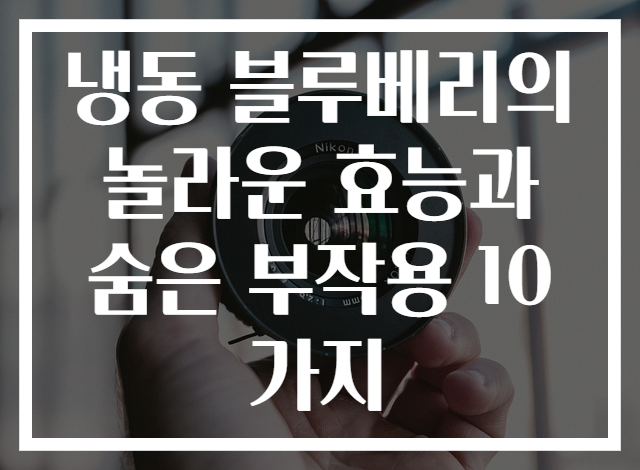 냉동 블루베리의 놀라운 효능과 숨은 부작용 10가지