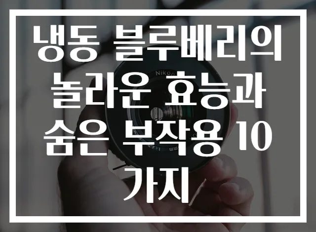냉동 블루베리의 놀라운 효능과 숨은 부작용 10가지