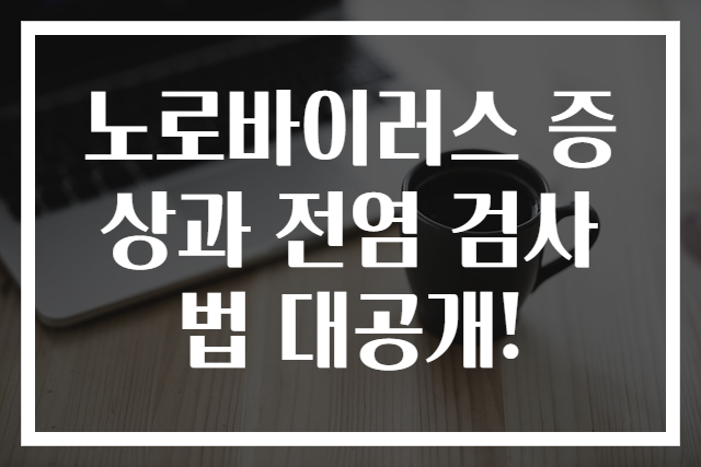 노로바이러스 증상과 전염 검사법 대공개!