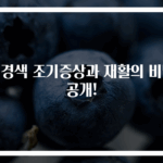 뇌경색 조기증상과 재활의 비밀 공개!