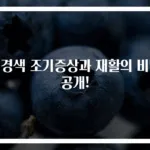 뇌경색 조기증상과 재활의 비밀 공개!
