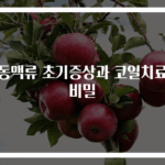 뇌동맥류 초기증상과 코일치료의 비밀