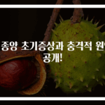 뇌종양 초기증상과 충격적 원인 공개!