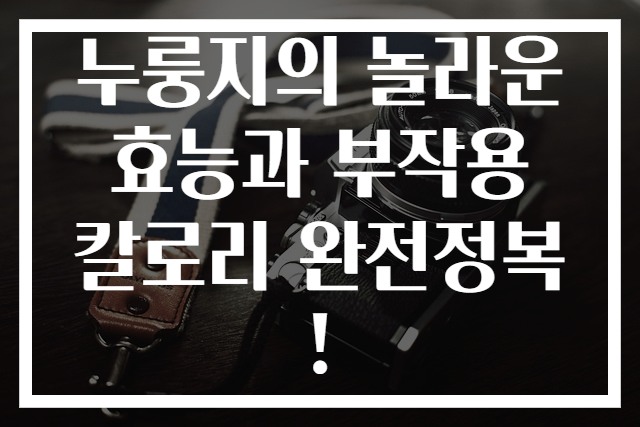 누룽지의 놀라운 효능과 부작용 칼로리 완전정복!