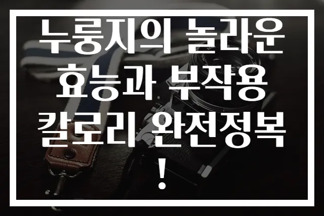 누룽지의 놀라운 효능과 부작용 칼로리 완전정복!