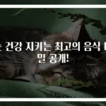 눈 건강 지키는 최고의 음식 비밀 공개!