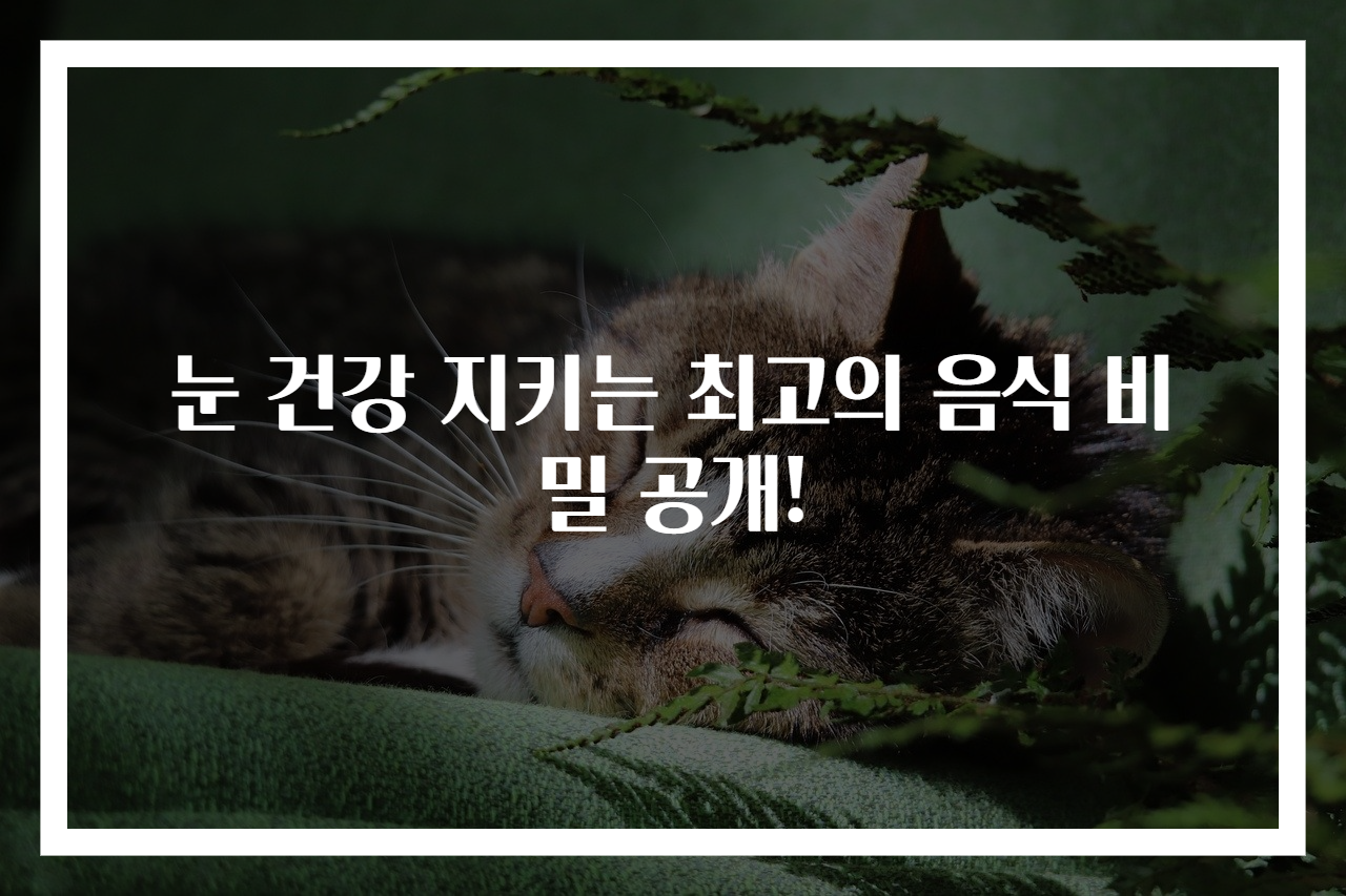 눈 건강 지키는 최고의 음식 비밀 공개!