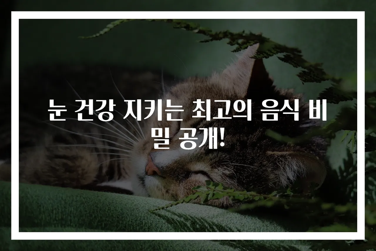 눈 건강 지키는 최고의 음식 비밀 공개!