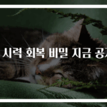 눈 시력 회복 비밀 지금 공개!