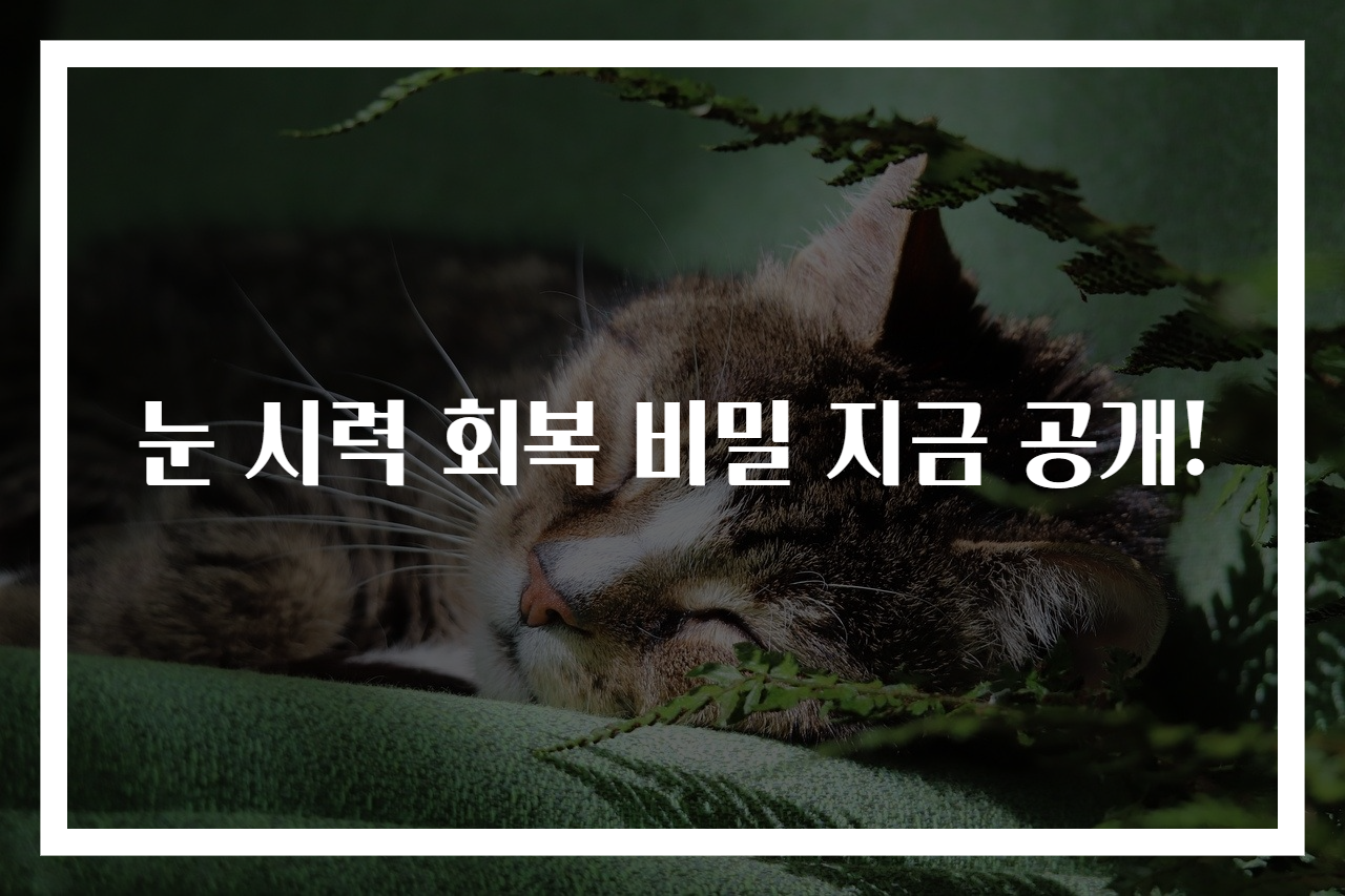눈 시력 회복 비밀 지금 공개!