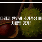 눈다래끼 원인과 초기증상 빠른 치료법 공개!