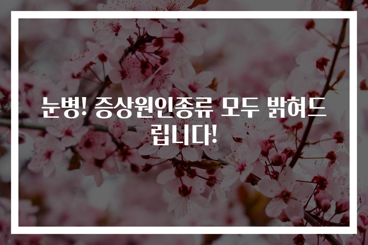 눈병! 증상원인종류 모두 밝혀드립니다!