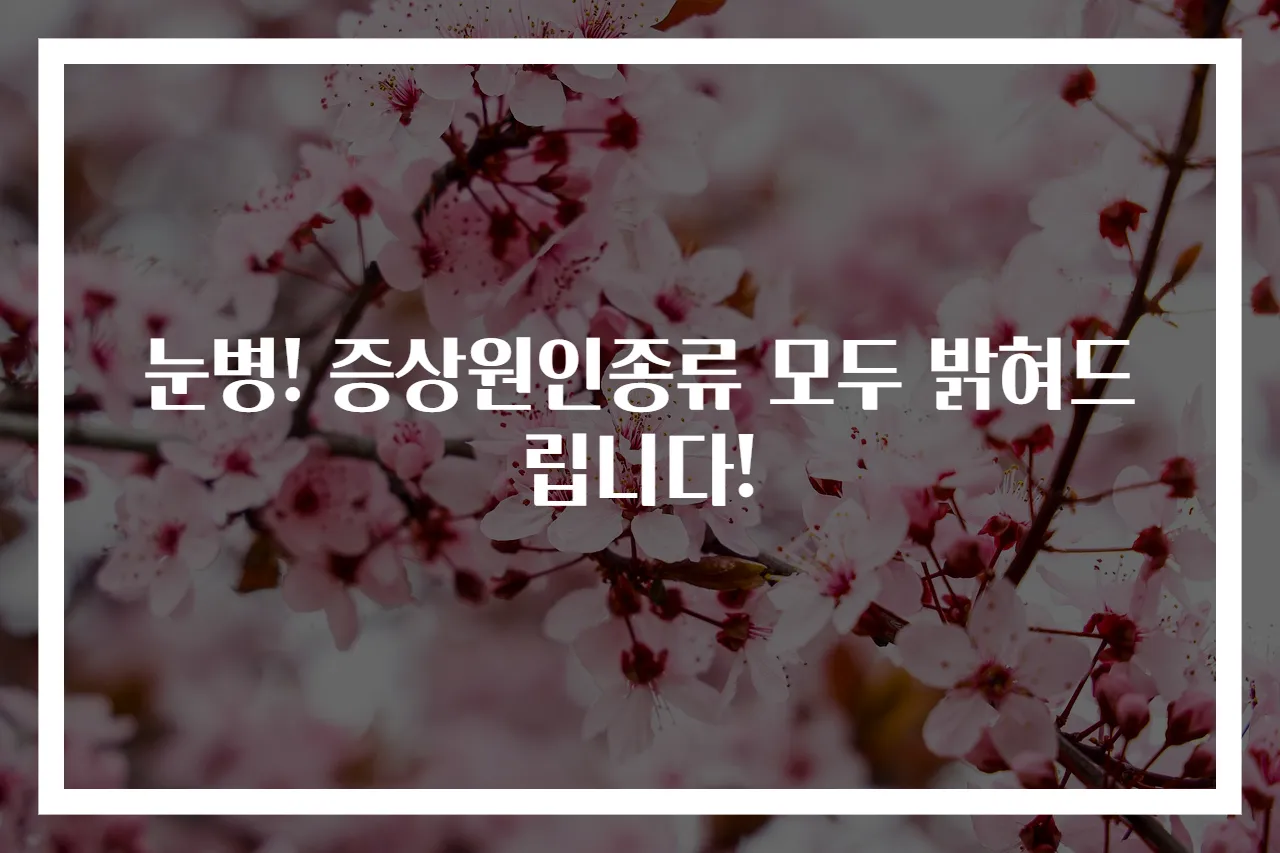 눈병! 증상원인종류 모두 밝혀드립니다!