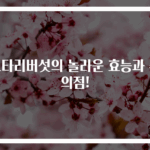 느타리버섯의 놀라운 효능과 주의점!