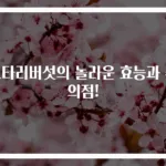 느타리버섯의 놀라운 효능과 주의점!