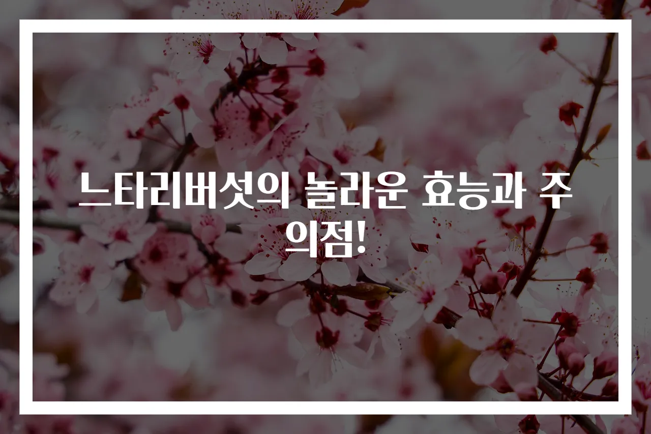 느타리버섯의 놀라운 효능과 주의점!