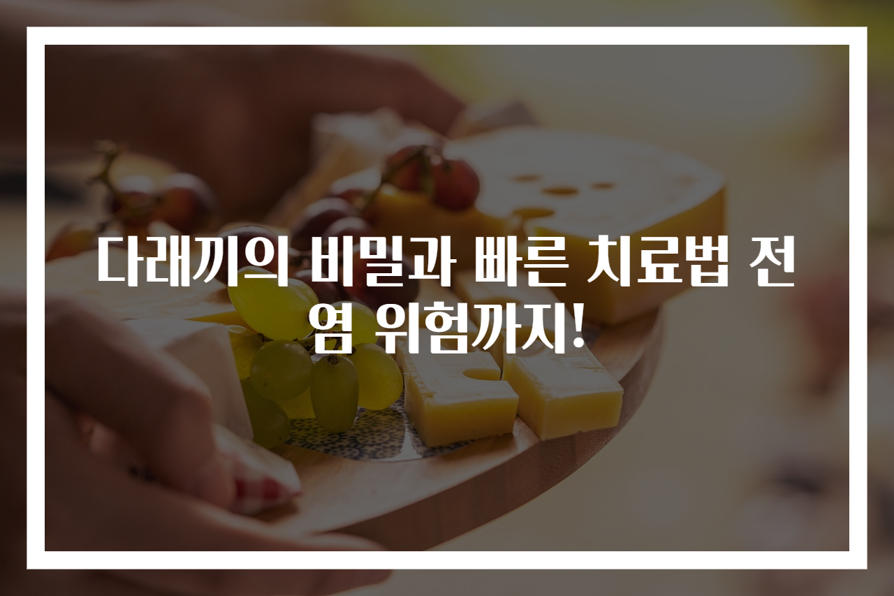 다래끼의 비밀과 빠른 치료법 전염 위험까지!