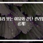 다리 붓는 이유와 간단 관리법 공개!