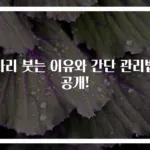 다리 붓는 이유와 간단 관리법 공개!