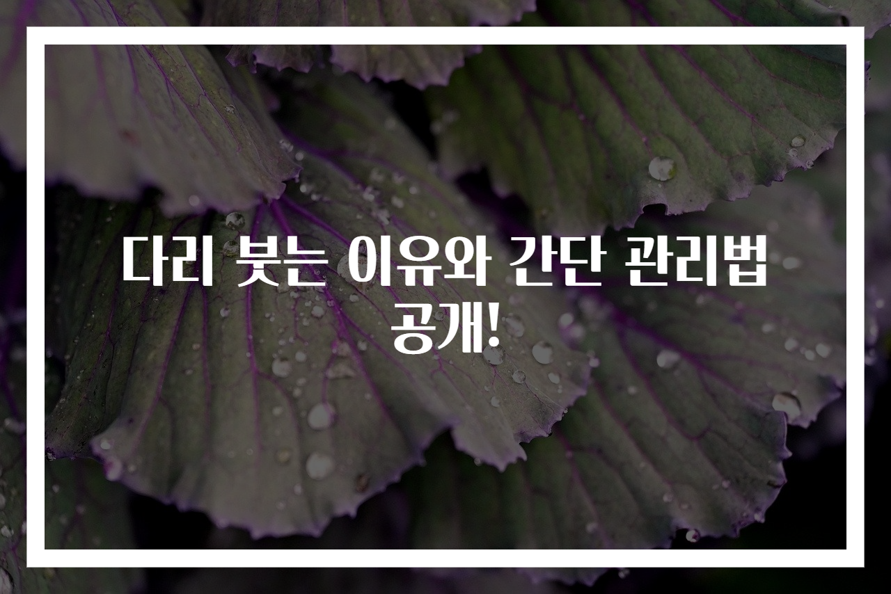 다리 붓는 이유와 간단 관리법 공개!