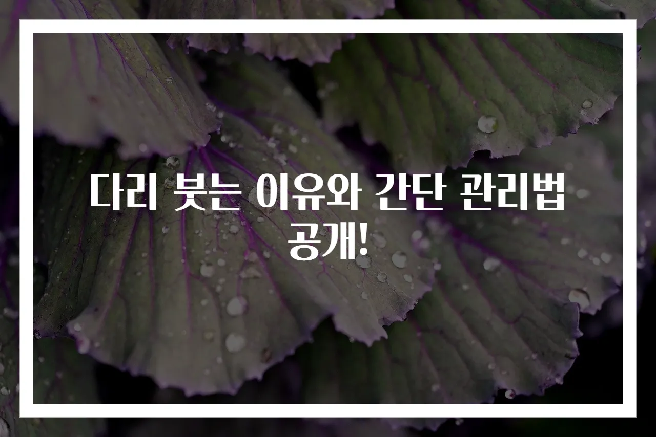 다리 붓는 이유와 간단 관리법 공개!