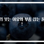 다리 붓는 이유와 부종 잡는 꿀팁!