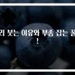 다리 붓는 이유와 부종 잡는 꿀팁!