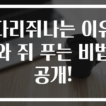 다리쥐나는 이유와 쥐 푸는 비법 공개!