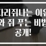 다리쥐나는 이유와 쥐 푸는 비법 공개!