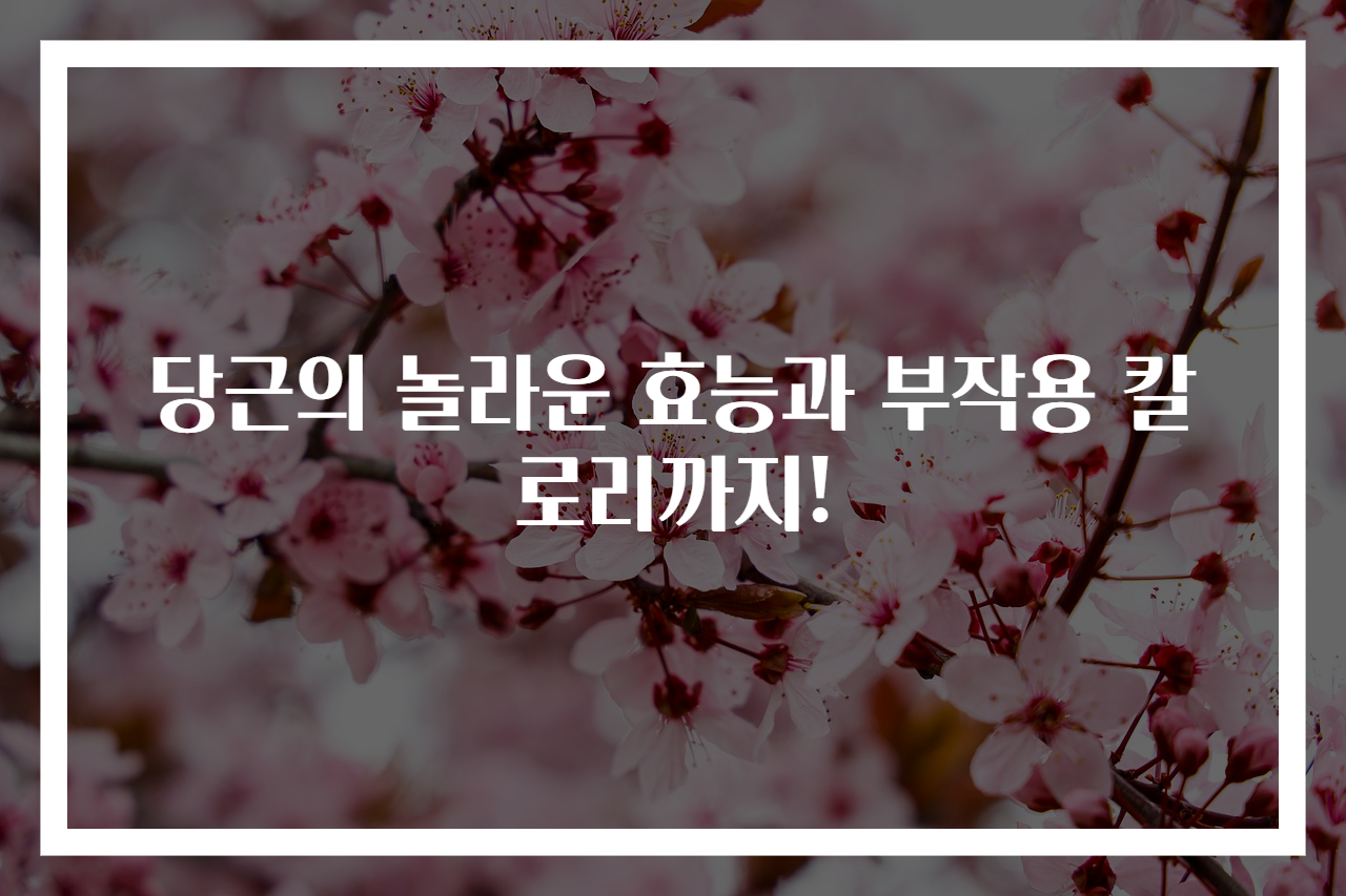 당근의 놀라운 효능과 부작용 칼로리까지!