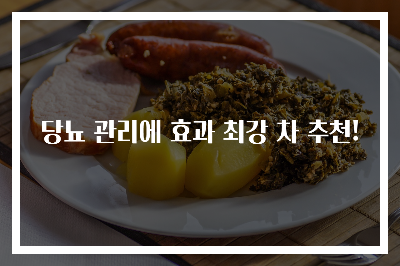 당뇨 관리에 효과 최강 차 추천!