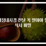 대장내시경 전날 꼭 알아야 할 식사 비밀