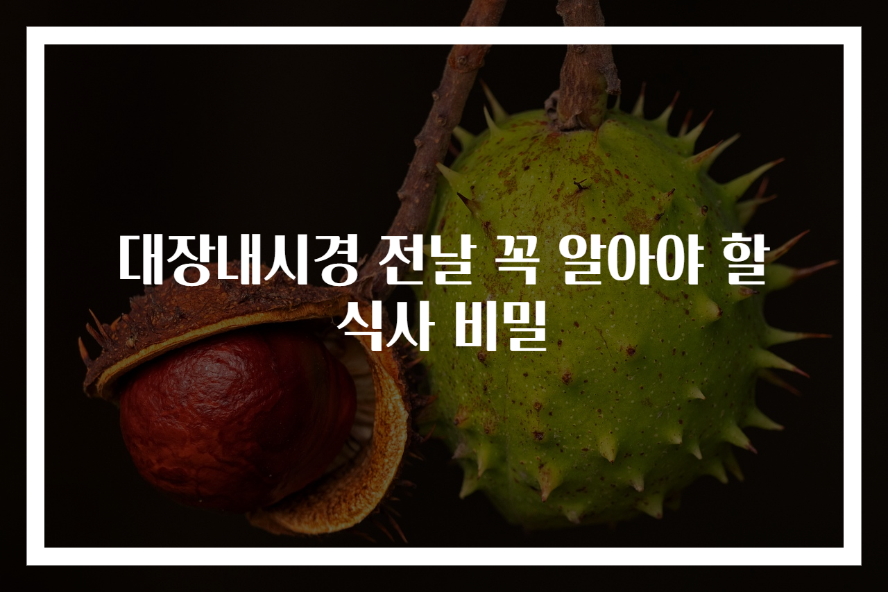 대장내시경 전날 꼭 알아야 할 식사 비밀