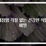 대장암 걱정 없는 건강한 식단 비밀