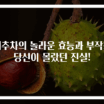 대추차의 놀라운 효능과 부작용 당신이 몰랐던 진실!