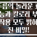 두릅의 놀라운 효능과 칼로리 부작용 모두 밝혀진 비밀!